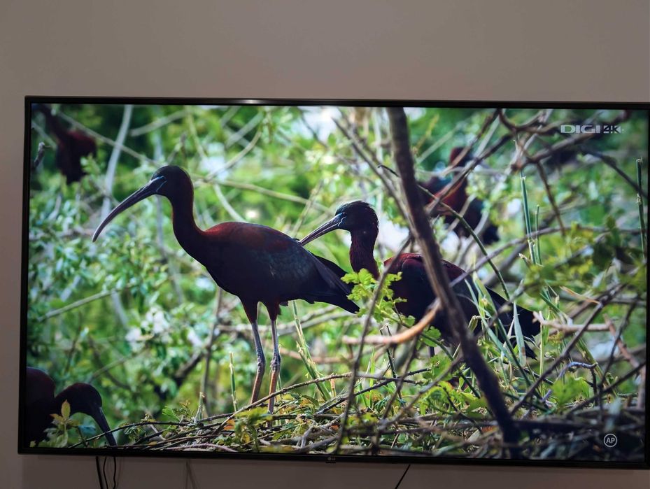 TV LG  4k UltraHD 75UN71003LC - 189 cm