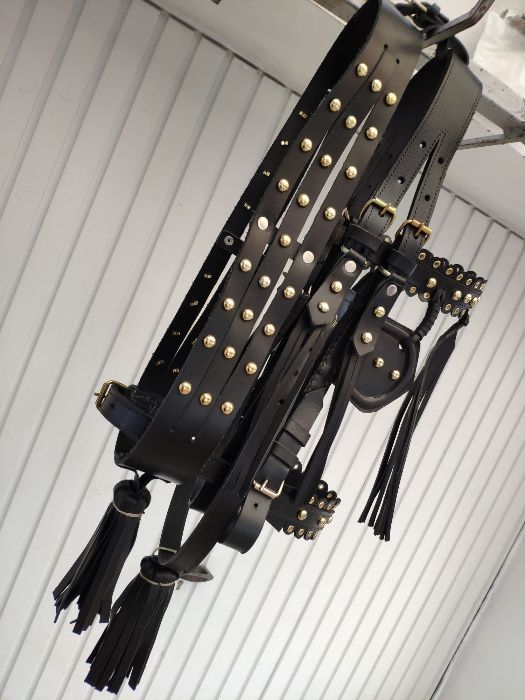 capici-cu-salba CAL/MAGAR/PONEI | set premium ... ⟣GARANTIE ⁴⁸