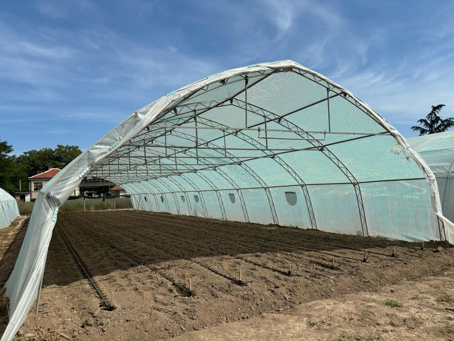 Оранжерии/Парници