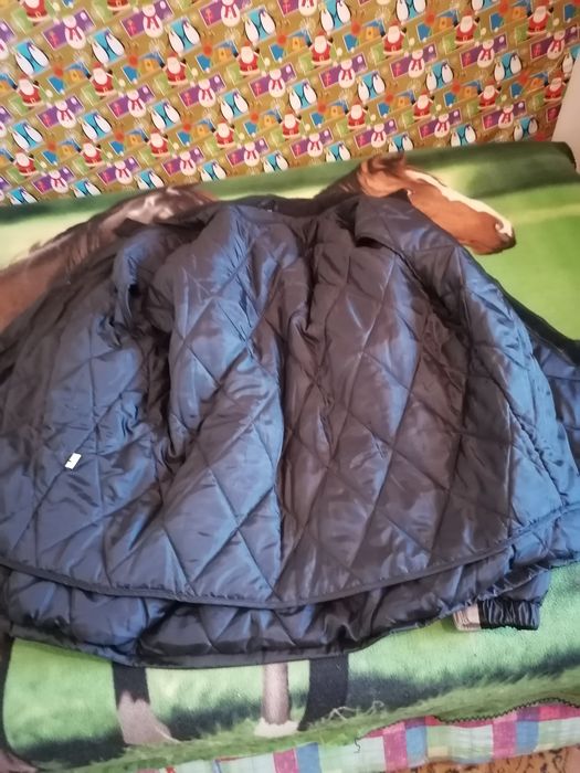 OFERTA, OFERTA, Ofertă, Ofertă, Ofertă, Ofertă