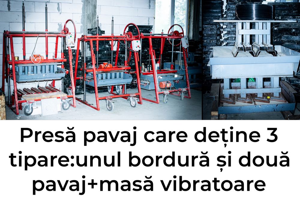 Presa pavaj,detine 3 tipare!