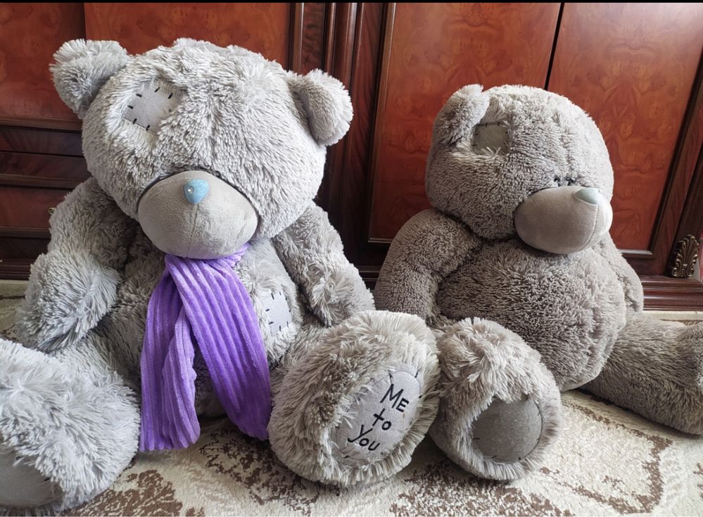Teddy ayiq holati yengi