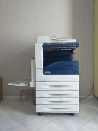 Принтер Xerox 7800 Series