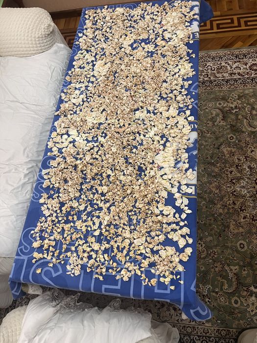 Сухие лепестки ароматных белых роз