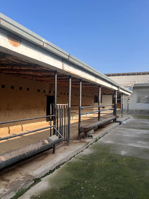 Келес кук терак шинамгина бизнес уч