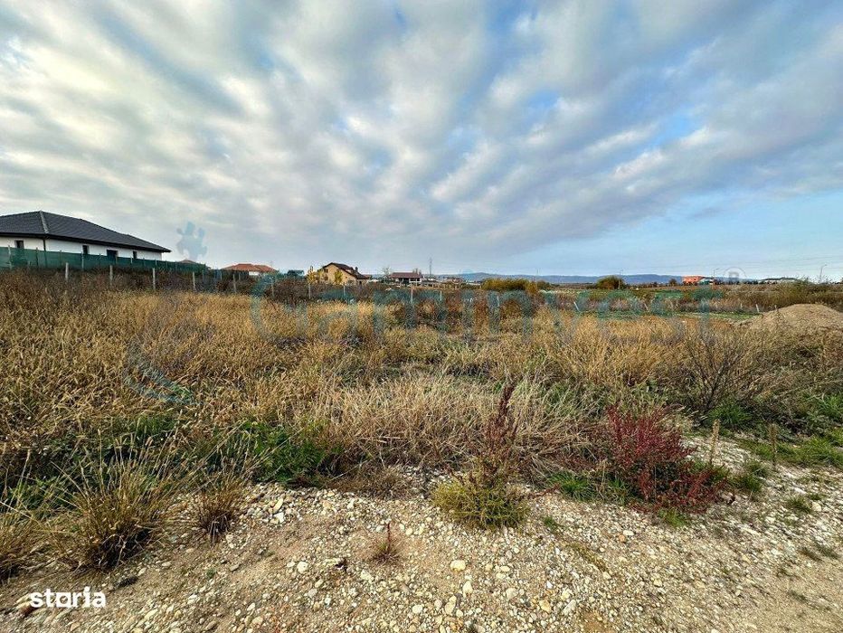 Gaminvest Teren intravilan pentru constructie casa Cheriu, Bihor,V3881