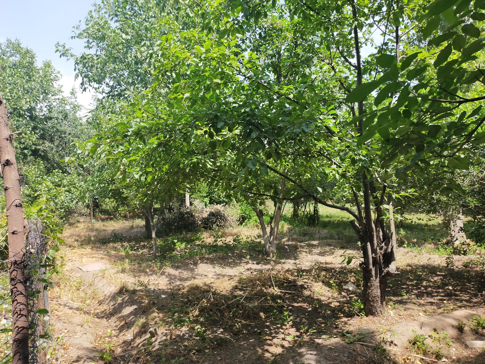Продается дом в селе Т.Рыскулова, пер. Космонавтов 4/1