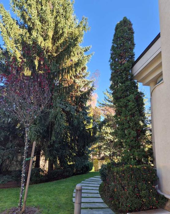 Довършителни ремонти, LED осветление фасадно и интериорно