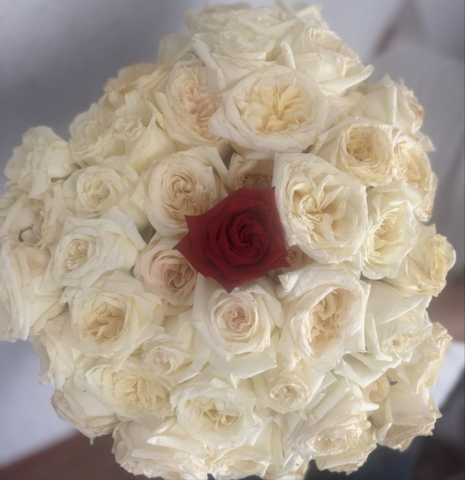 Срочно Букет роза сатылады 51 штук