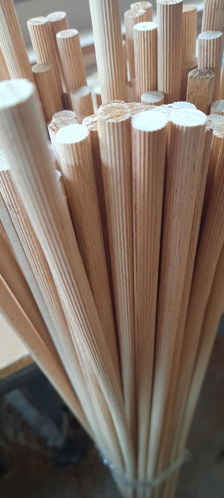 Bete lemn fag striate porumbei