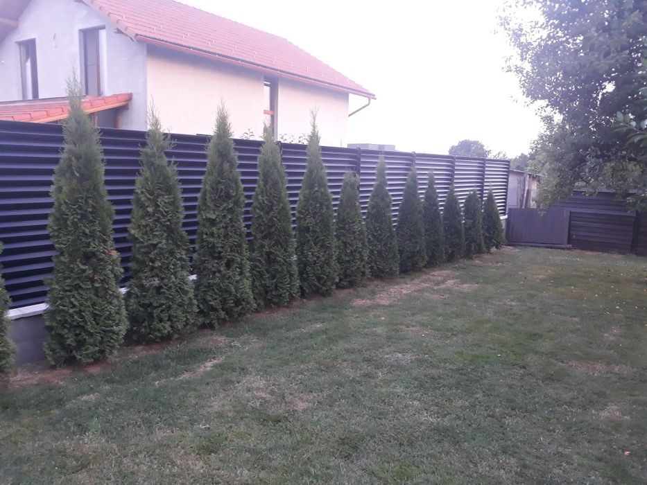 Gard tip jaluzea, carport , terase.