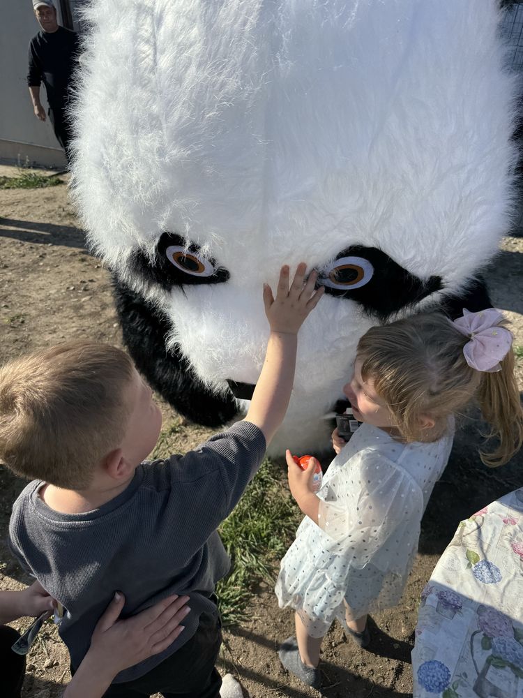 Ursul Polar&Ursul Panda evenimente