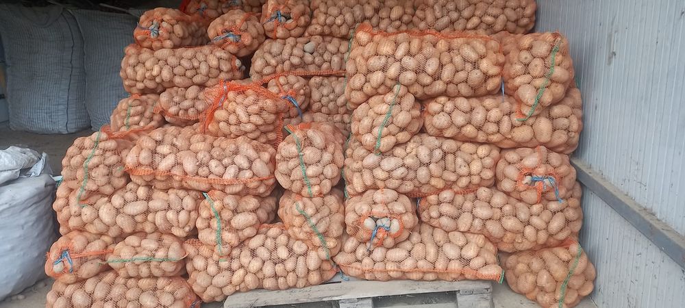 Cartofi consum si animale