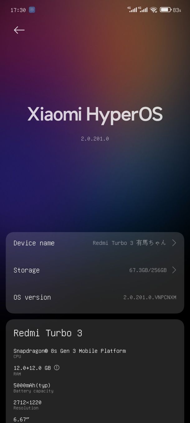 Redmi Turbo 3 12/256
