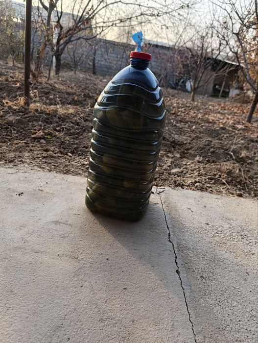 Bodiring bakalshgada