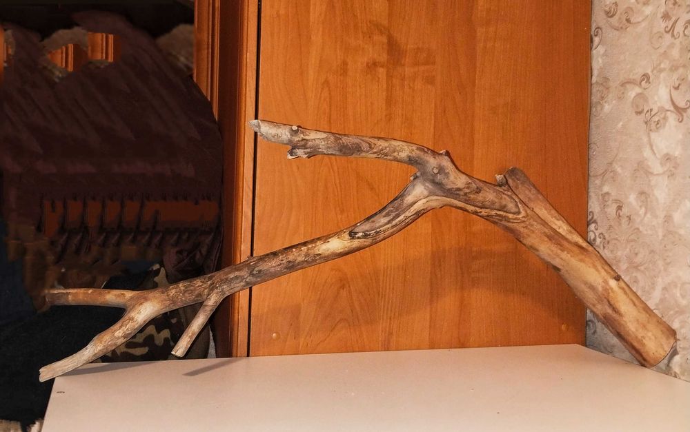 Коряга в аквариум большая