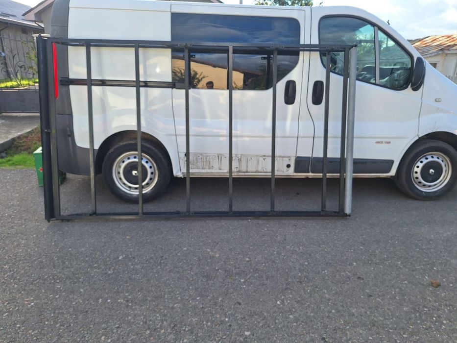 Portbagaj Renault Trafic sau Opel Vivaro