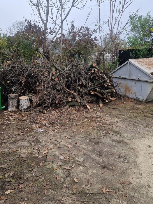 Lemne de foc de vânzare