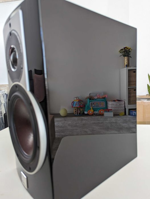 boxe raft Dali Rubicon 2