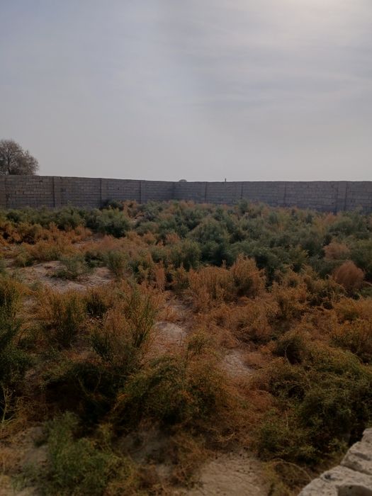 Чоргумбаз 6сотих чала ер участка сотилади