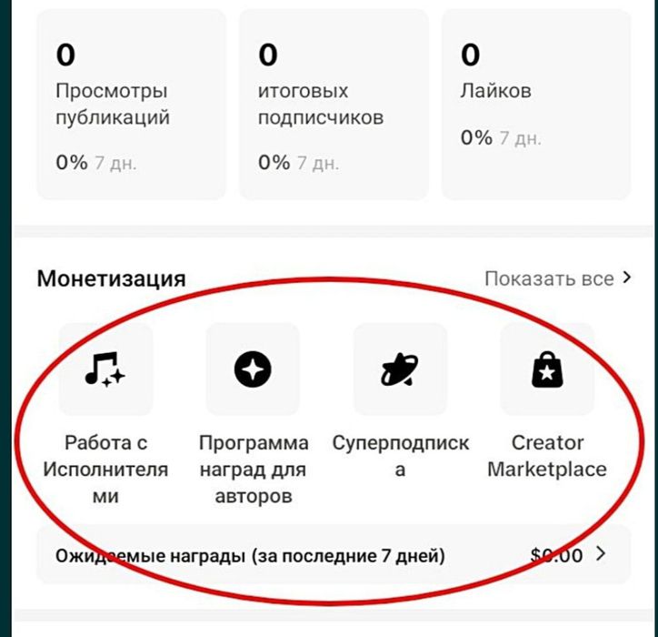 Тик Ток аккаунт с монетизацией.