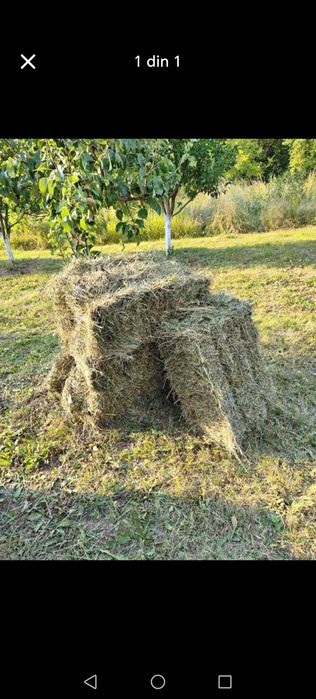 Vând Baloții de fan