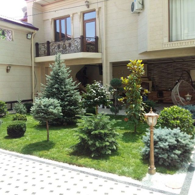 Gazon. Archa. Gullar. Lanshaft dizay