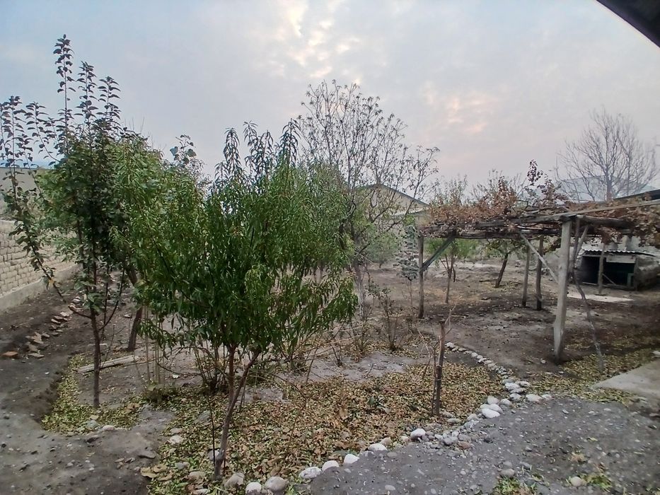 Hovli sotiladi / Beshariq