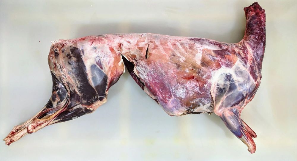 Халал Сайгак замороженный