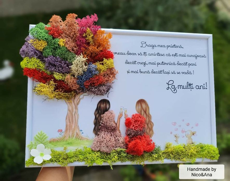 Vând aranjamente,tablouri si ceasuri cu lichieni stabilizați