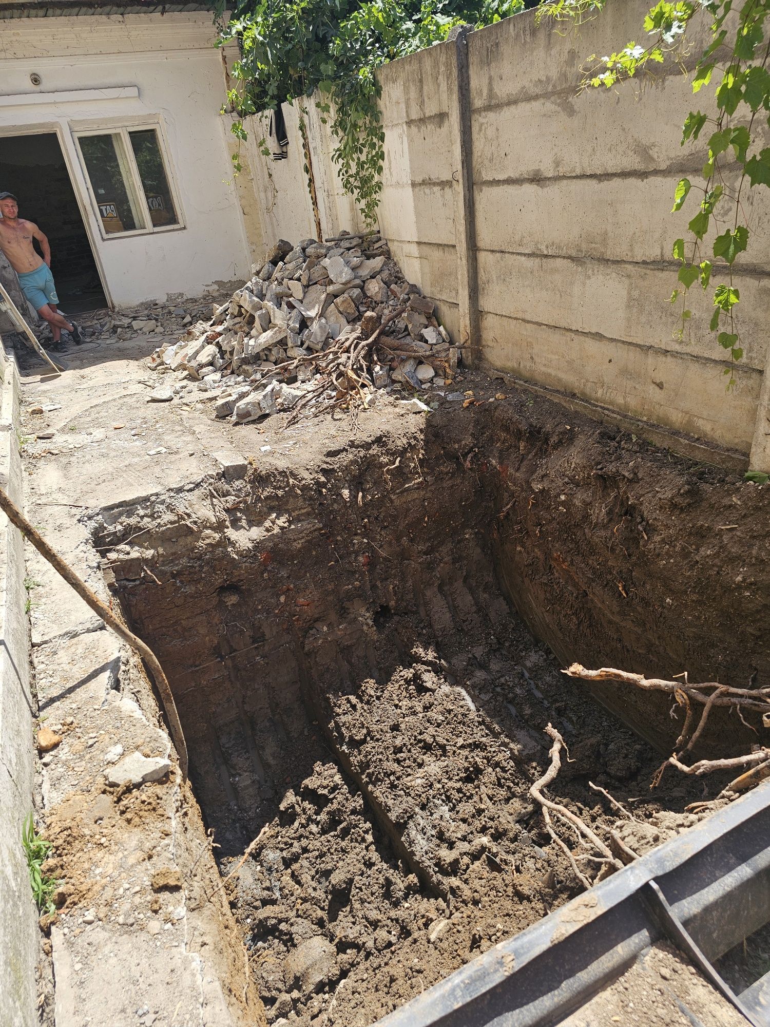 Excavații defrisari