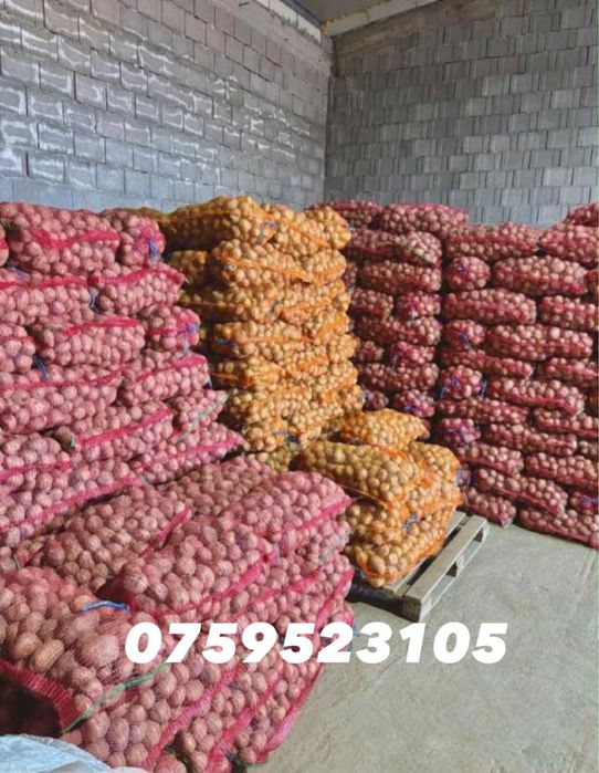 Vând cartofi alb și roz de consum ! Transport la domiciliu gratuit !