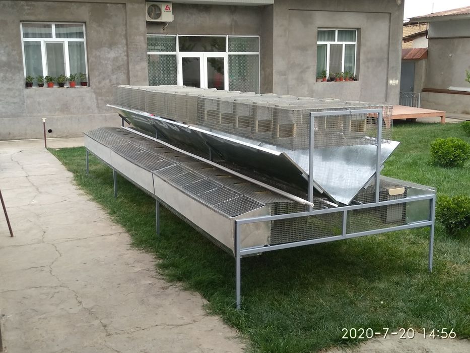 Клетка .Куёнлар  ва Жужа учун.