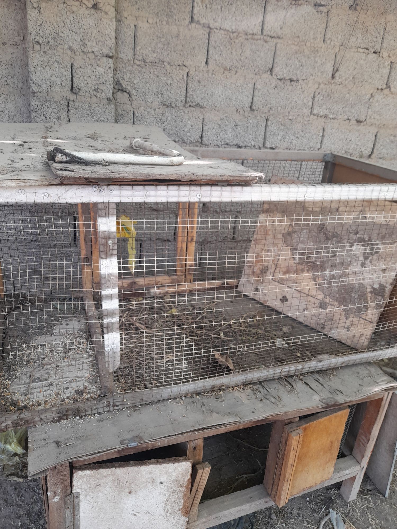 Qafas quyon joja tovuqlarga yaxshi 2ta