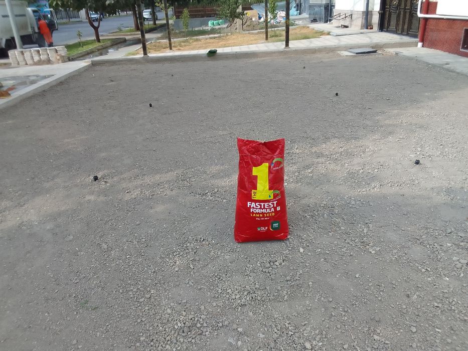 Gazon ekamiz urugdan.