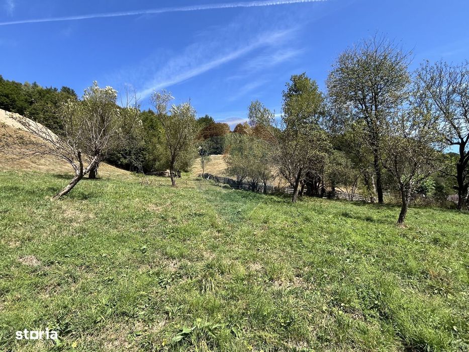 Teren de vanzare Rachitele | Investitie | Comision 0%