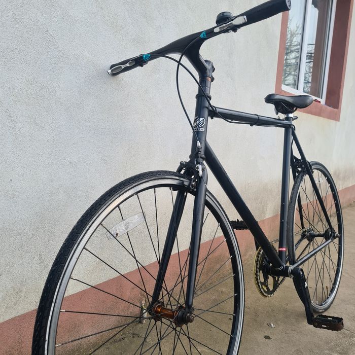 Cursiera jamis beatnik