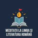 Meditatii la limba romana