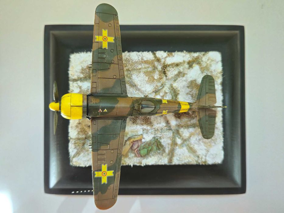 Modelism Diorama IAR 80 scara 1:100 rasina