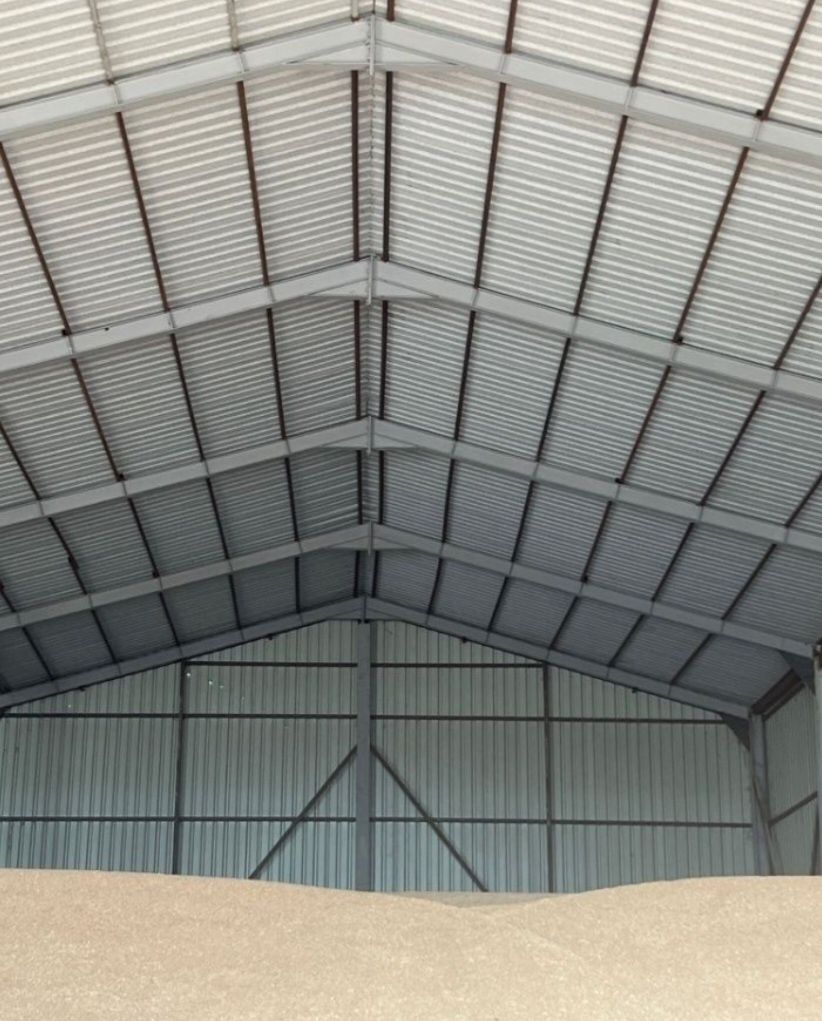 Hale și structuri metalice