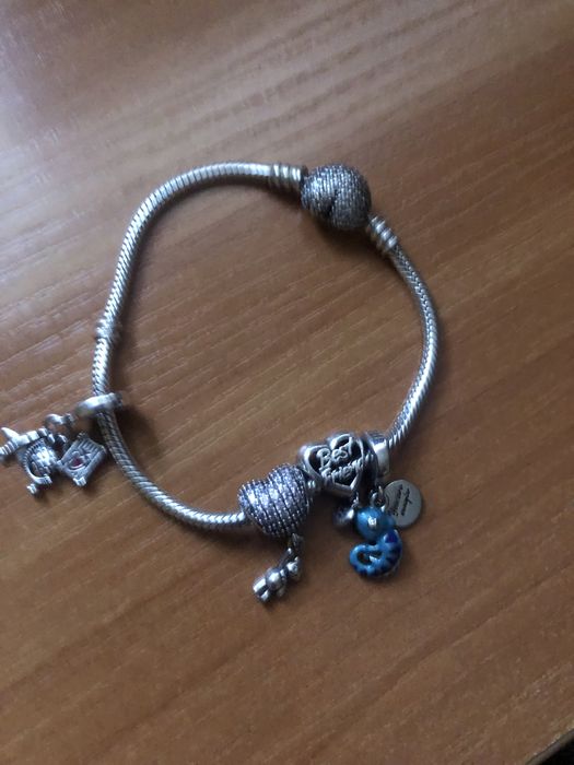 Сребърна гривна и талисмани Pandora