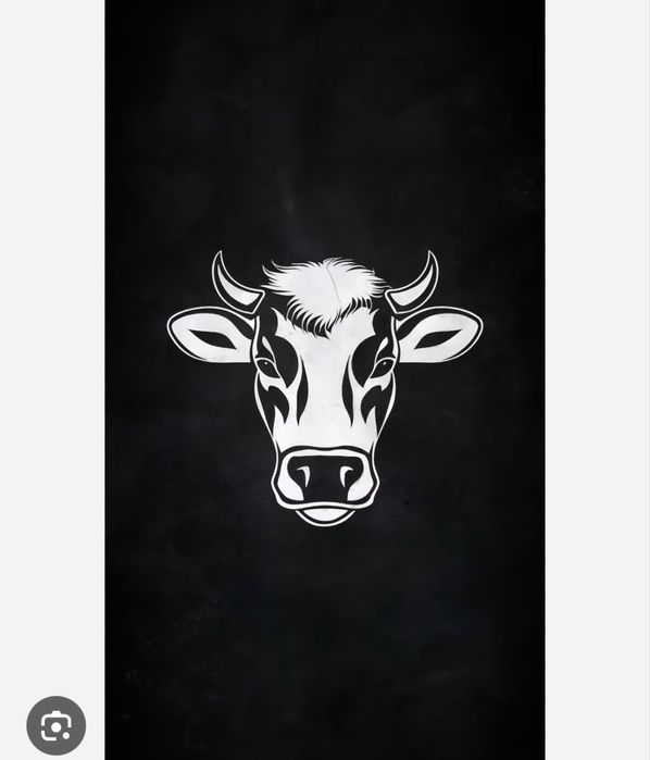 Продам говяжьи головы