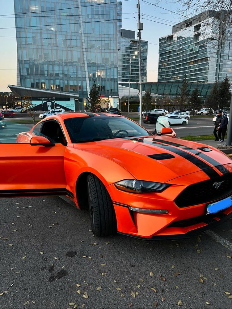 Ford Mustang, если покупаете быстро, могу скинуть цену