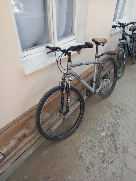 Velik sotiladi zur narxda