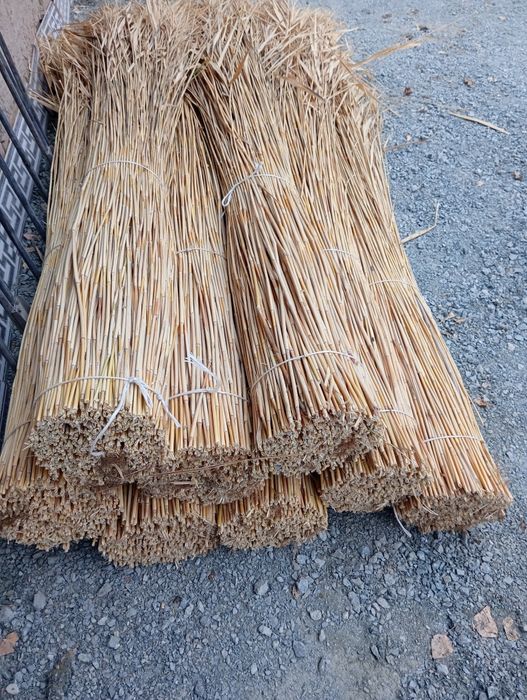 Камиш култаси 3000 сум