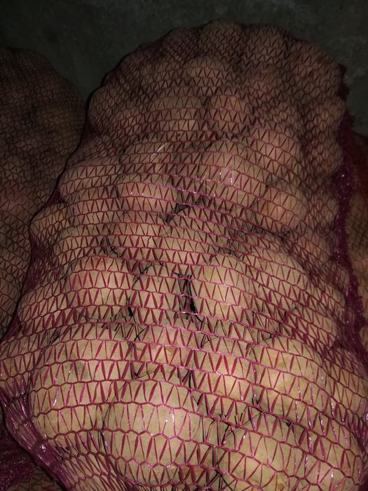 Vând, schimb, Cartofi de consum, sămânță, animale