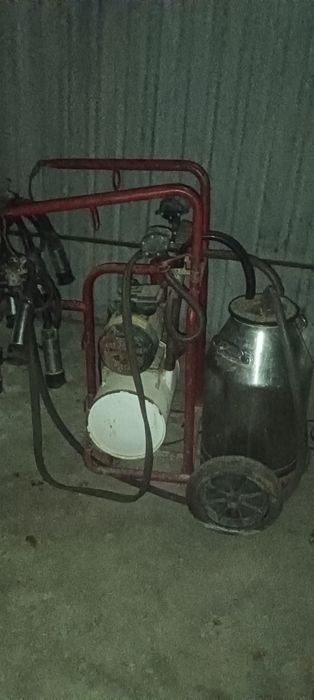 Sut sogʻgich aparat