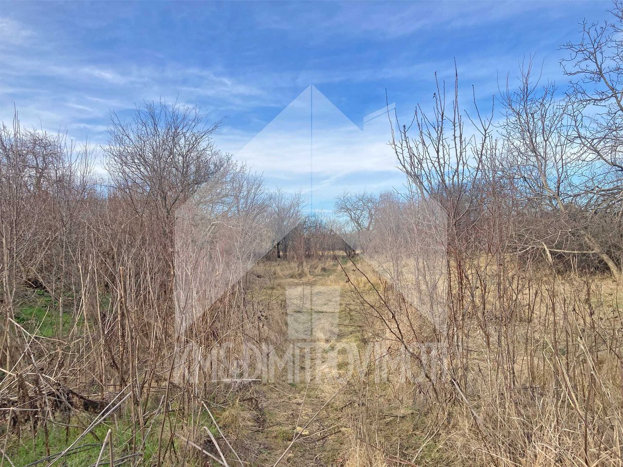 Продава се Парцел в Нови пазар - 1500 кв.м за 6 €/кв.м - Снимка #4