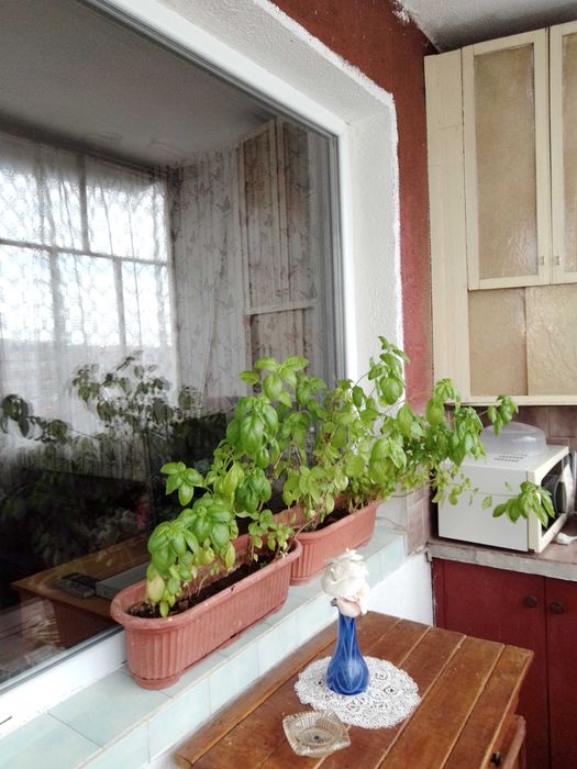 Дава двустаен апартамент под наем в центъра