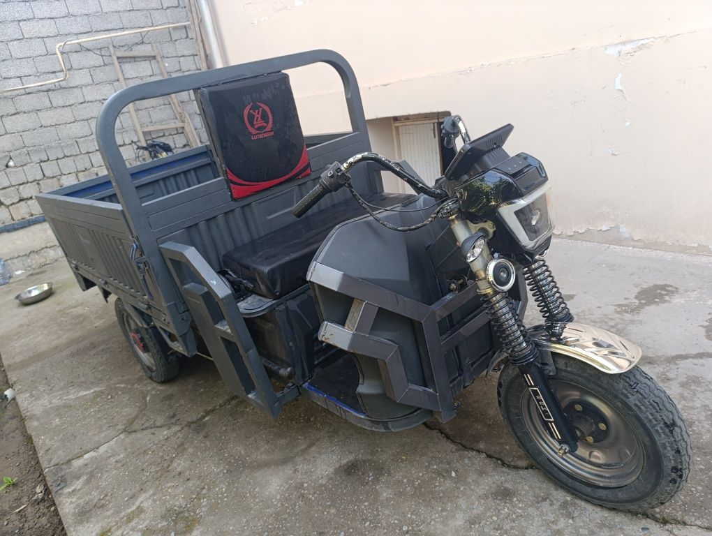 LUYANGSSK electro yuk motosikl